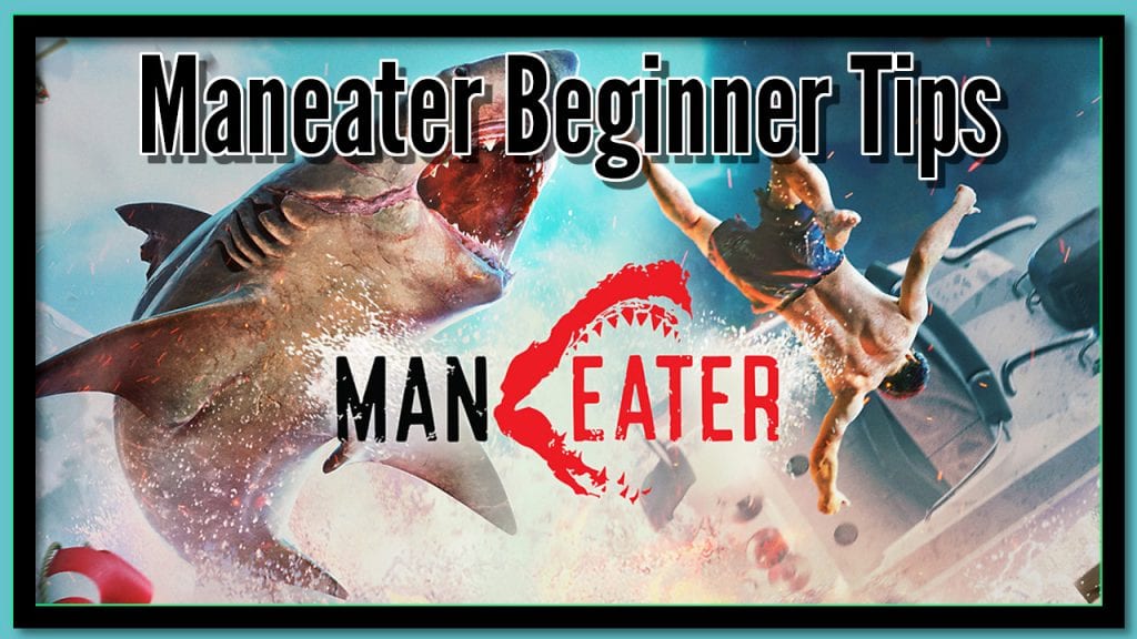Maneater Beginner Tips Featured Image